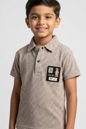 Boys Taupe Half-Sleeve Textured Polo T-Shirt with Chest Patch